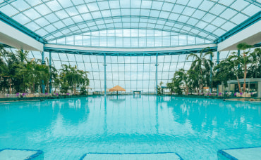 Kryty basen z błękitną wodą pod szklanym dachem z palmami w tle